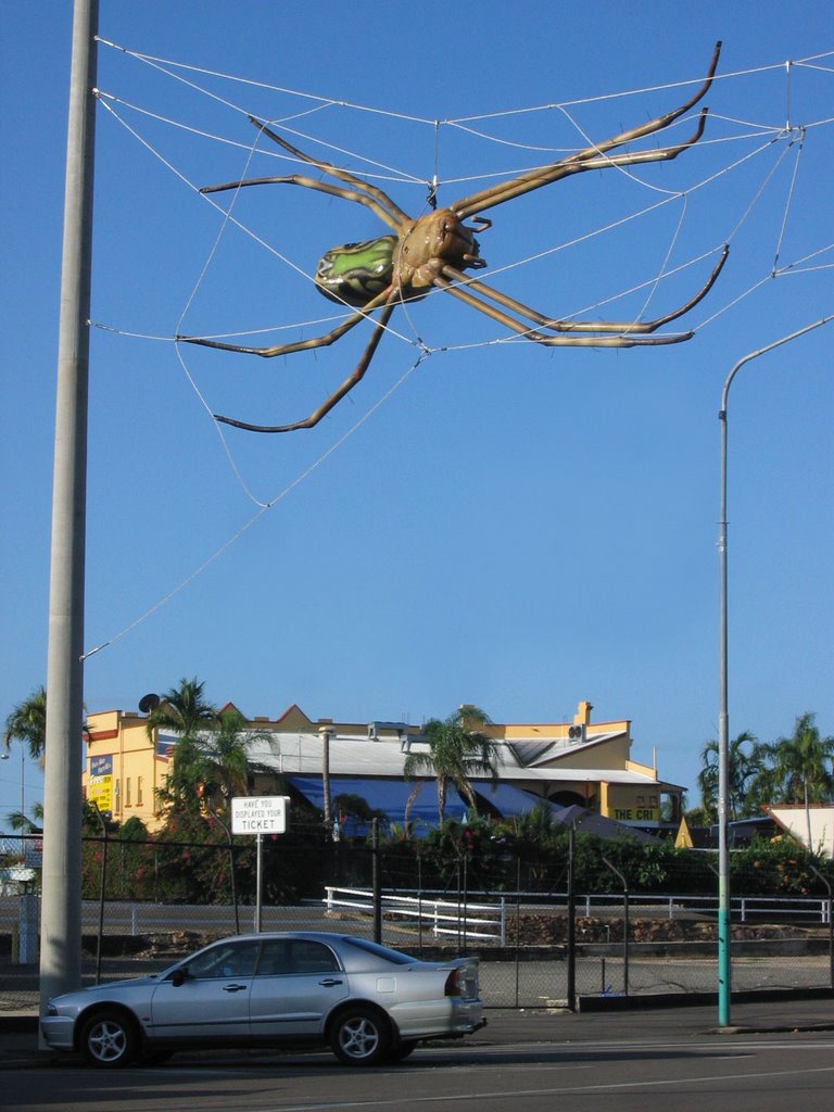 Giant spider, townsville by Cjewiss