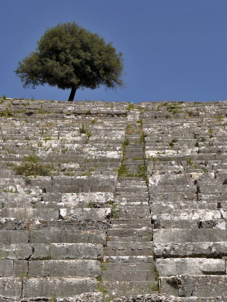 Dodoni ancient theater by marco.marsella