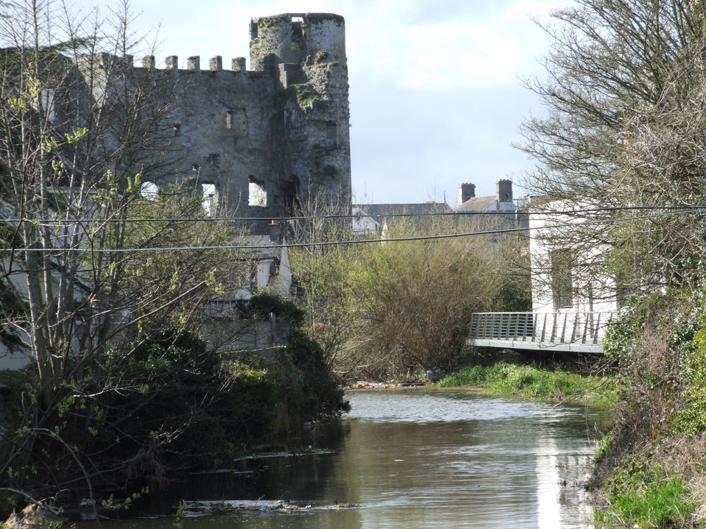 Carlow Castle by Dandyrum