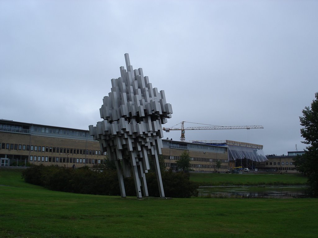 University in Umea by Ragnarog