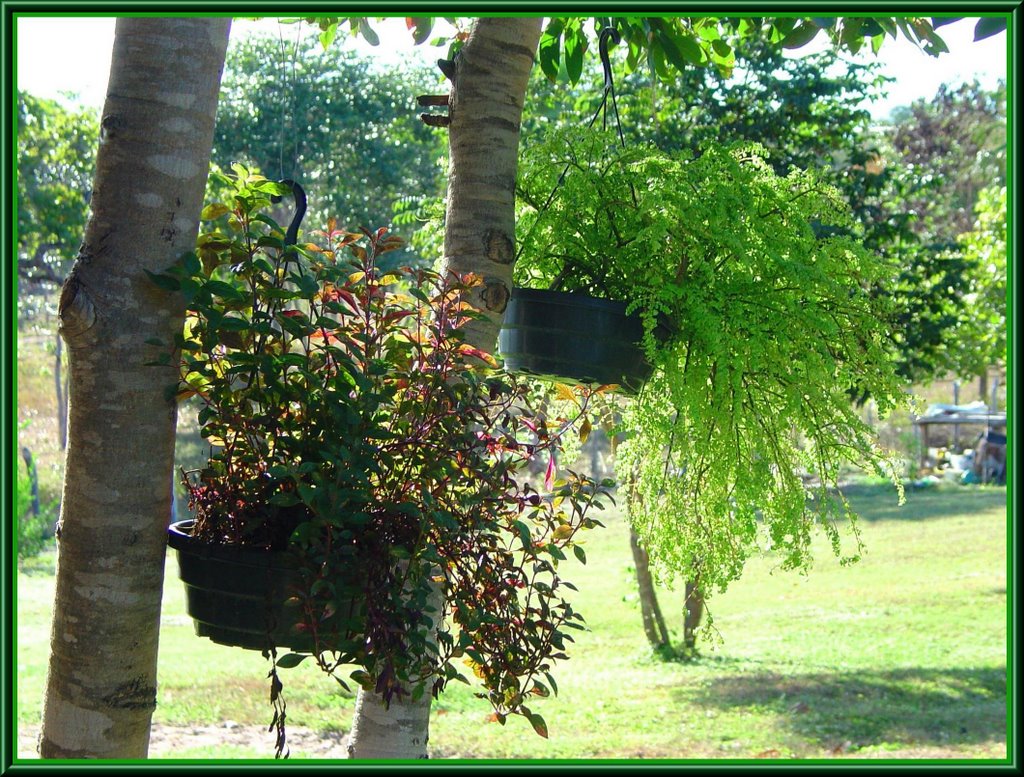 CASA JOELSON MANGA PIAUÍ - PLANTAS by Agamenon Pedrosa Rib…