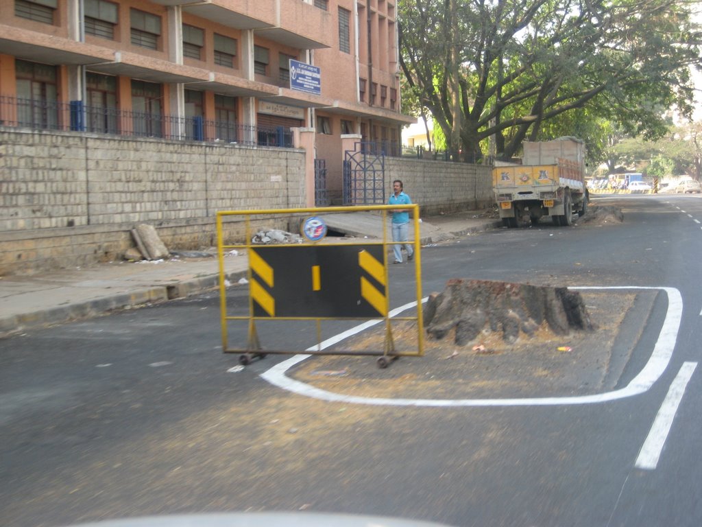 Watch out! There used to be a tree here (Kanakapura road) by Willem Nabuurs