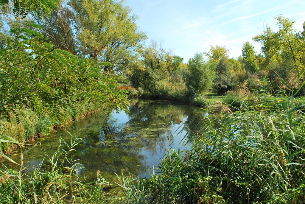 Öböl a kis dunán(Gulf of Small Danube) by fuel®