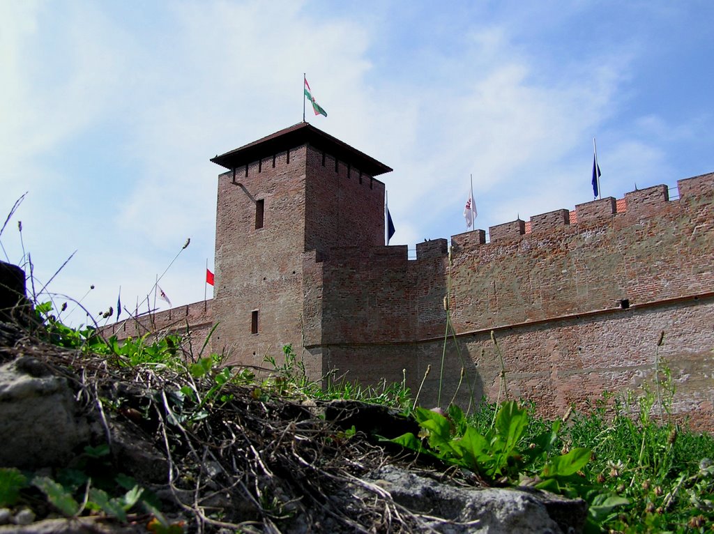 Vár (Castle) Gyula, Hungary by Muhi Ádám