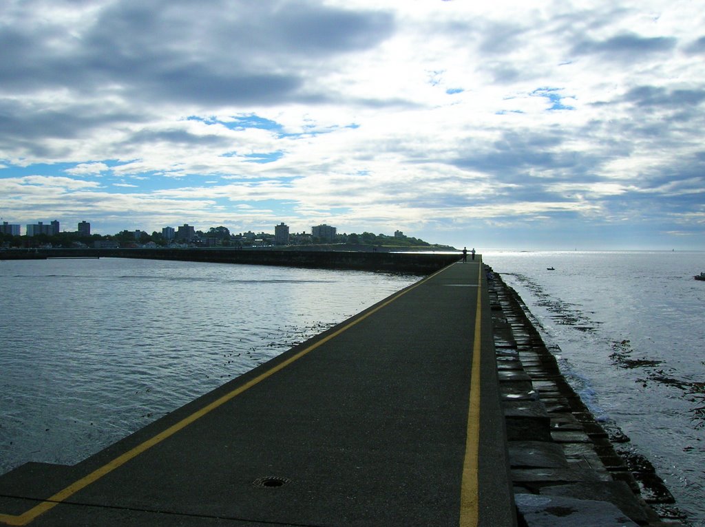 Victoria, British Columbia by MartyLeeB