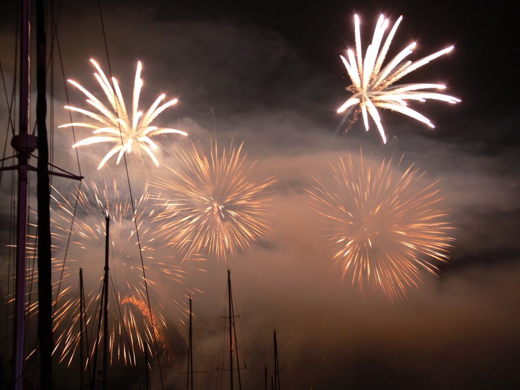 Feu d'artifice by Jean-Charles Bisecco…