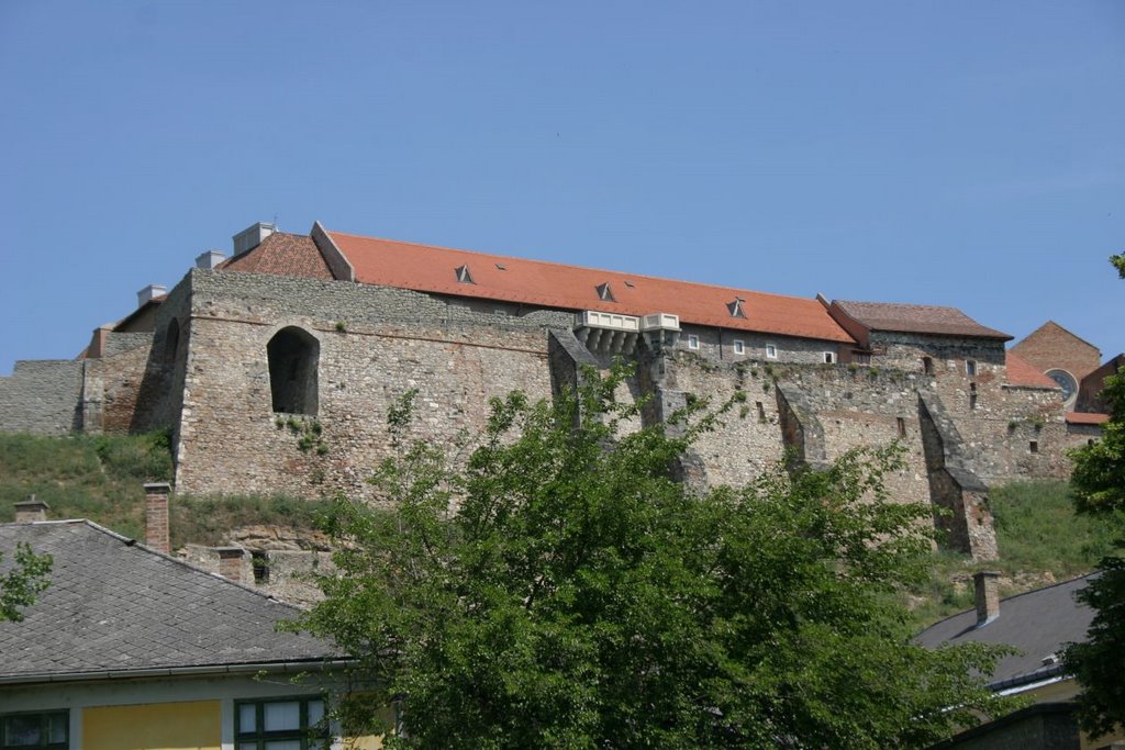 The walls and balkonys of the castle by MBagyinszky