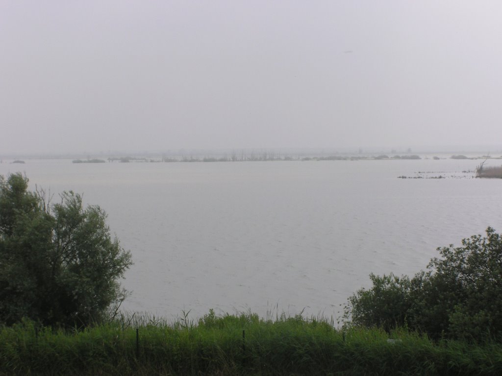 Oostvaardersplassen by Bernard Holtrop