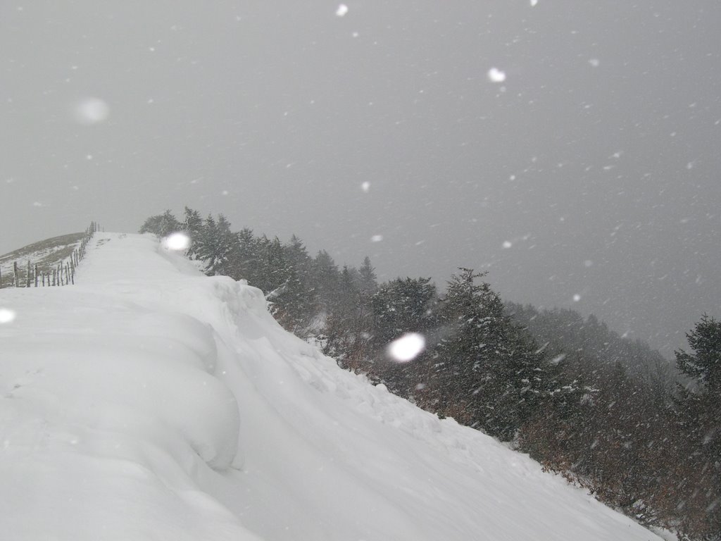 Neve sul monte Carpegna by segreteria