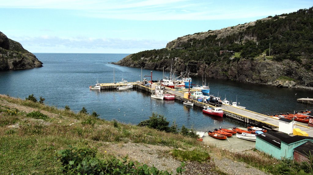 Harbour of Little Port, Newfoundland by brian collingwood