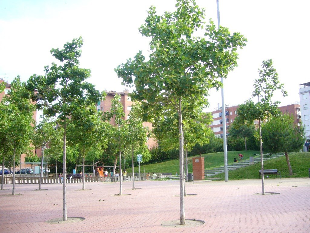 Plaça de la Mare Caterina Corominas by david_cuadros