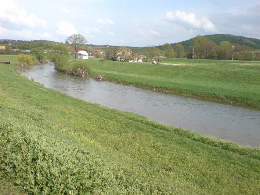 Toplica nizvodno , pogled prema Gubi by Aleksa Randjelovic