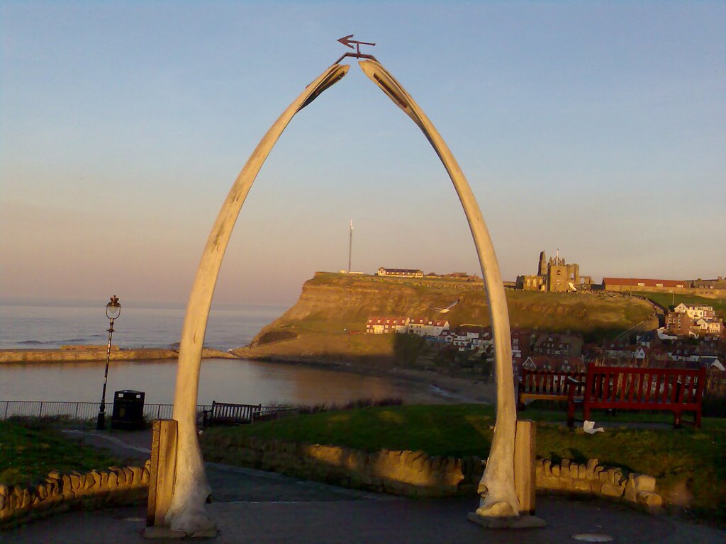 Whales Jaw Bone by yinran