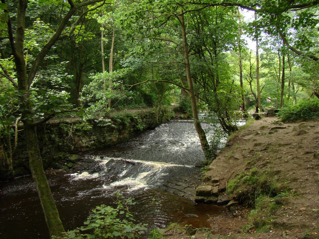 Large weir 1, River Rivelin, Sheffield S6 by sixxsix