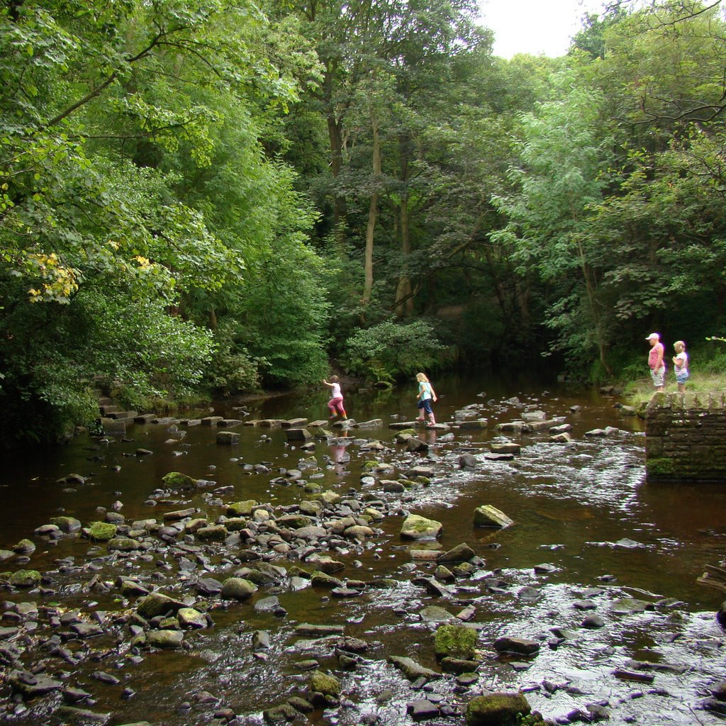 Crossing stepping stones on the River Rivelin, Sheffield S6 by sixxsix