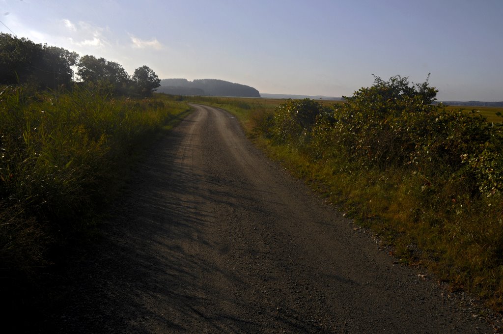 Crane Beach Ipswich MA road to castle neck by brianmoc