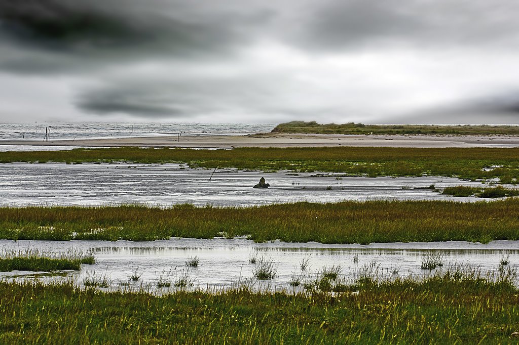 Pegwell bay by skodie