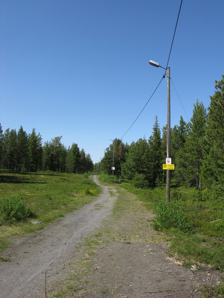 Summer in Jukkas by Gerrit Holl