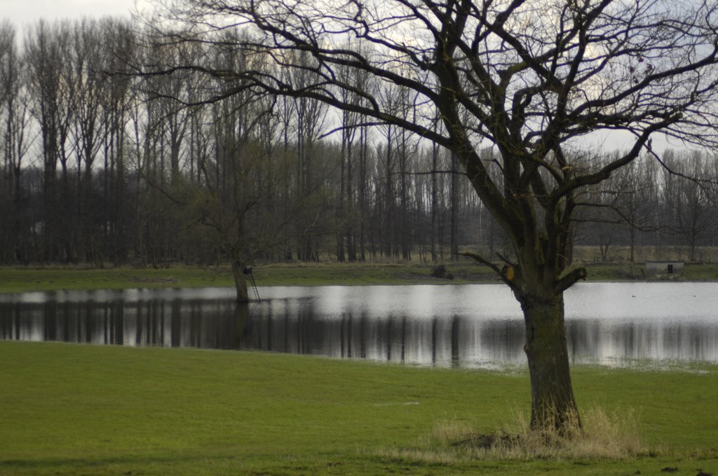 Lippe-Feucht-Biotop westlich Lippstadt by Uwe Gehring