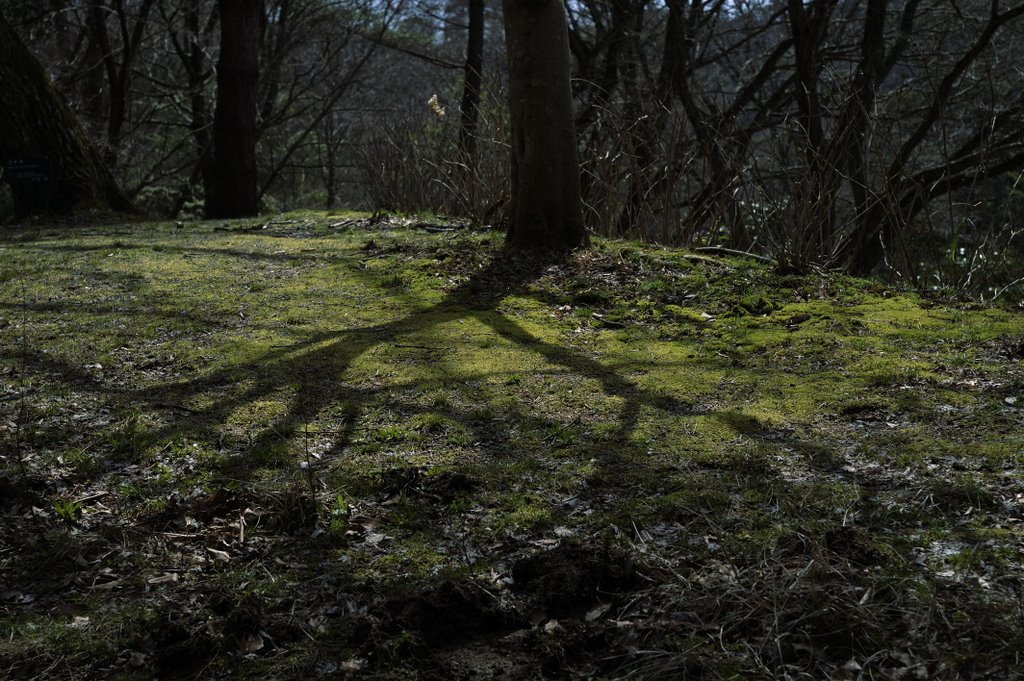 Touch of the Sun by Ryokichi Goto