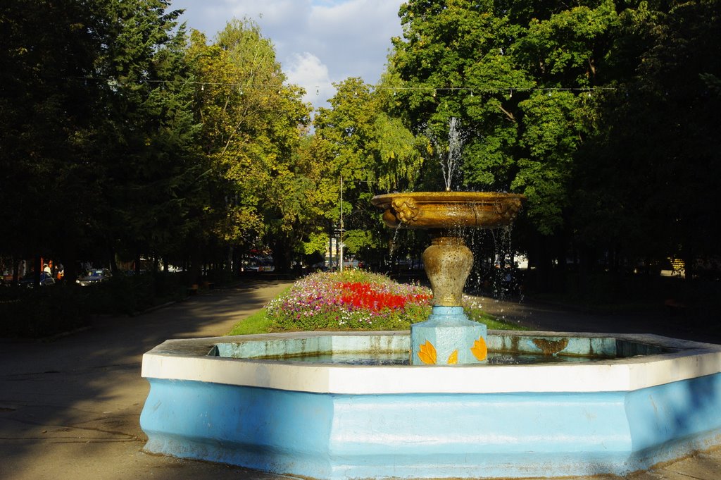 Fountain on Lenin avenu in Okt city, Bashkortostan, Russia by serjio2000