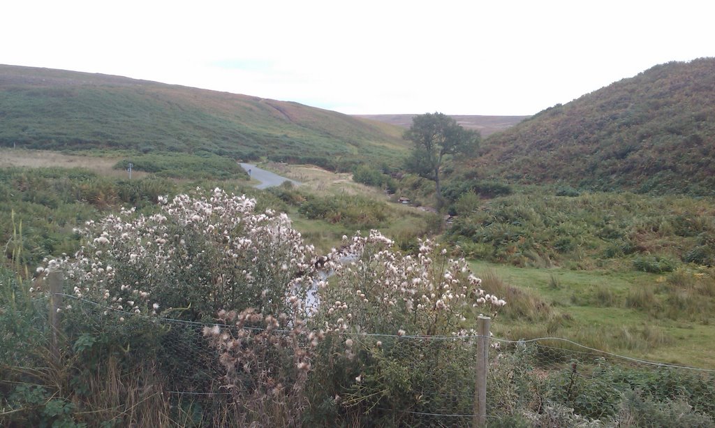 Deep in the North Yorkshire Moors near Osmotherly by downhill