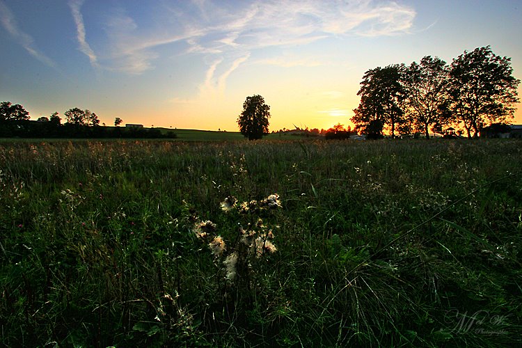 Evening ambiance by Mel