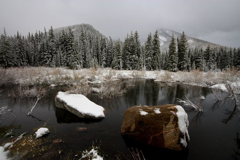 Reflecting september snow by spencer baugh