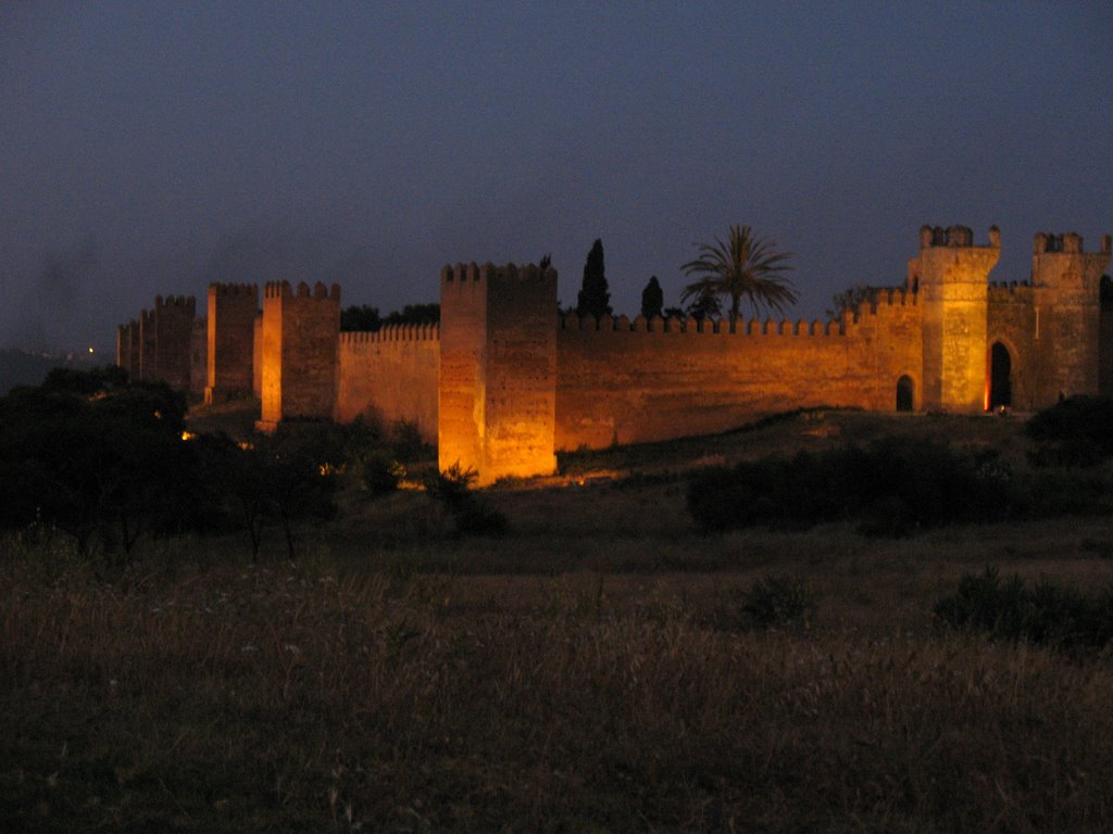 Rabat: necropoli di Chellahe contiene i resti di una grande villa romana.* by Bellisario Fasano