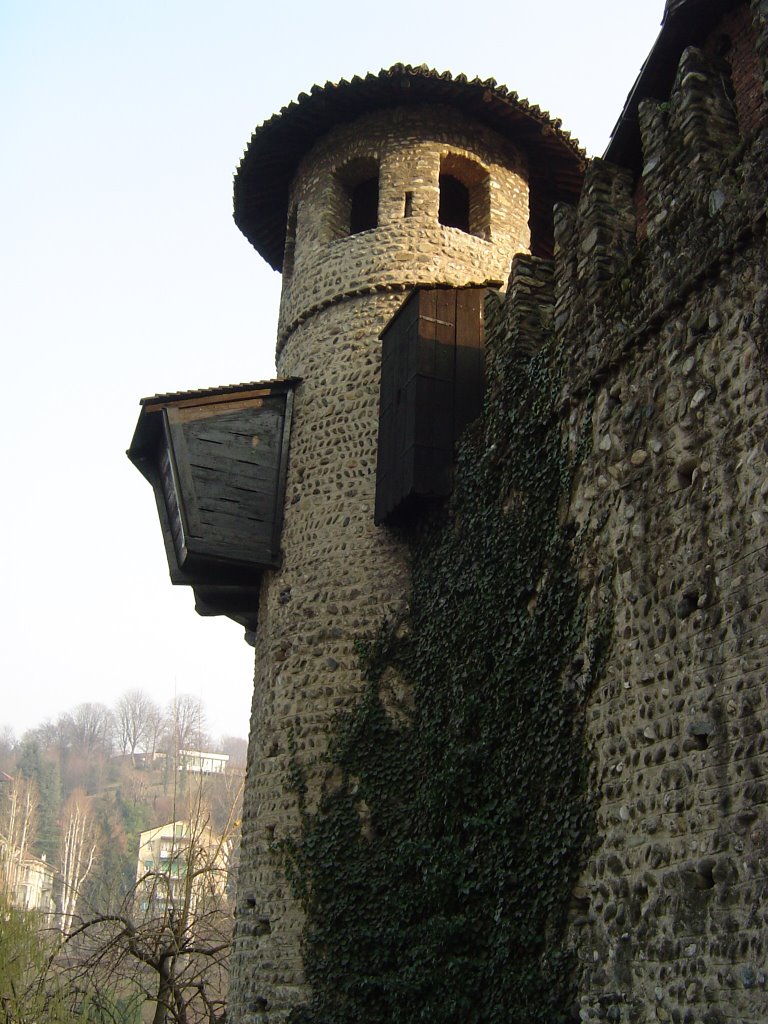 Rocca del Valentino - Panorama 28 by Mario Antonio Rossi