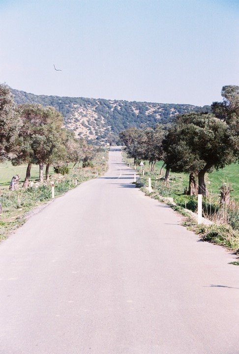 Road to the end of Karpasia Penisula (Turkish Republic of Northeren Cyprus/TRNC) by MERT ATAKAN