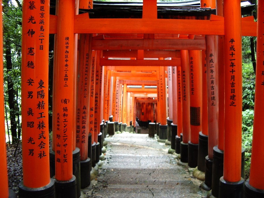 Kyoto Fushimi Inari Taisha by patapon