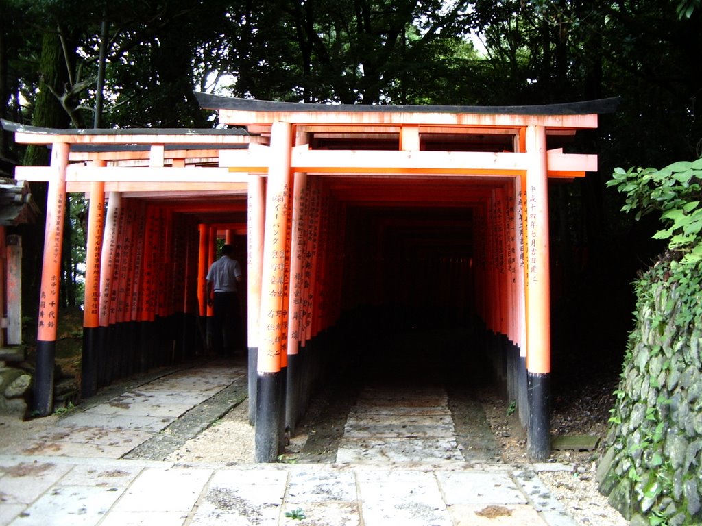 Kyoto Fushimi Inari Taisha by patapon