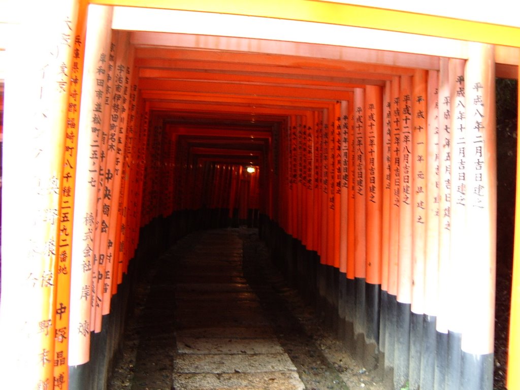 Kyoto Fushimi Inari Taisha by patapon