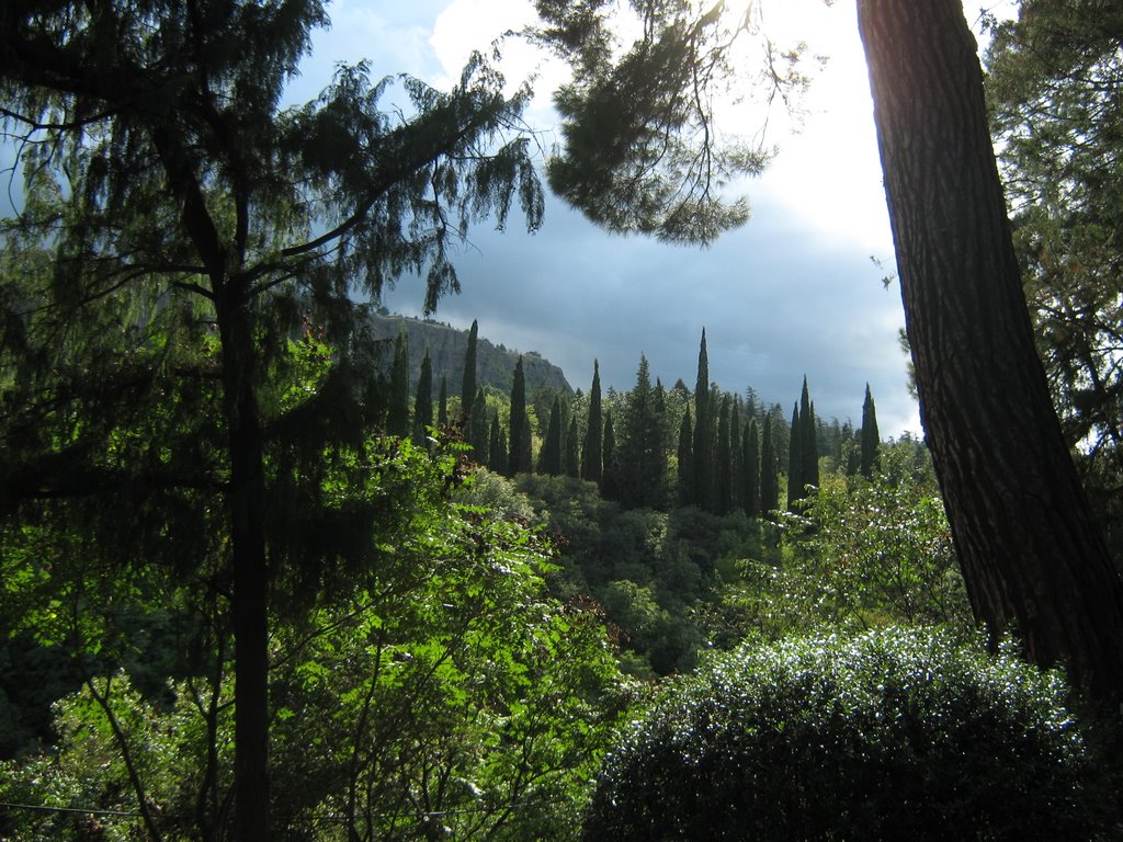 Ბოტანიკური ბაღი/Botanical garden. Tbilisi, Georgia by Archil Kikvadze