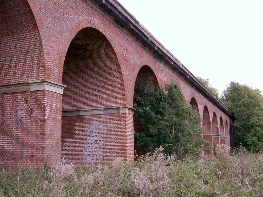 Stamford Bridge Viaduct by daneswell