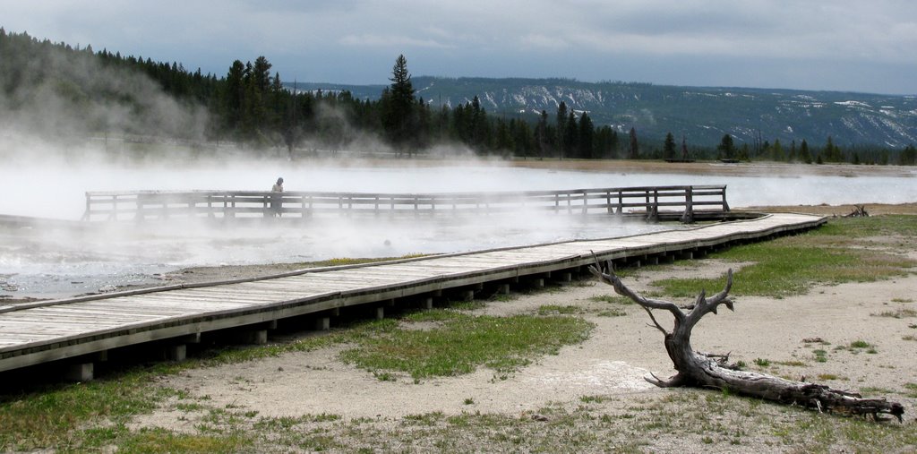 Firehole Lake Drive (view to Hot Lake) - Yellowstone National Park, WY, USA. by André Bonacin