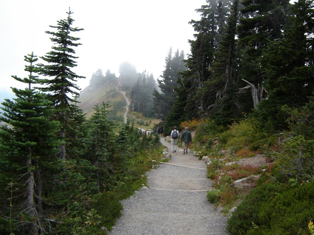 Skyline Trail from Paradise visitor center WA by Chanilim714