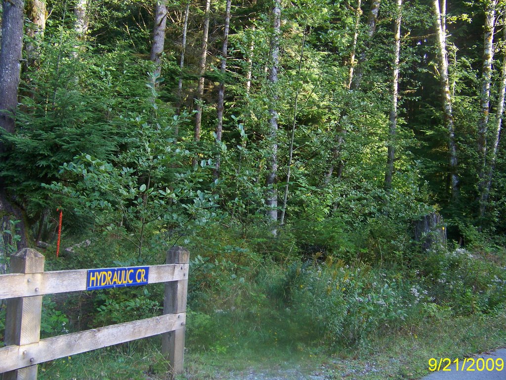 Trailhead - Hydraulic Creek Trail to Lynn Ridge by Wester