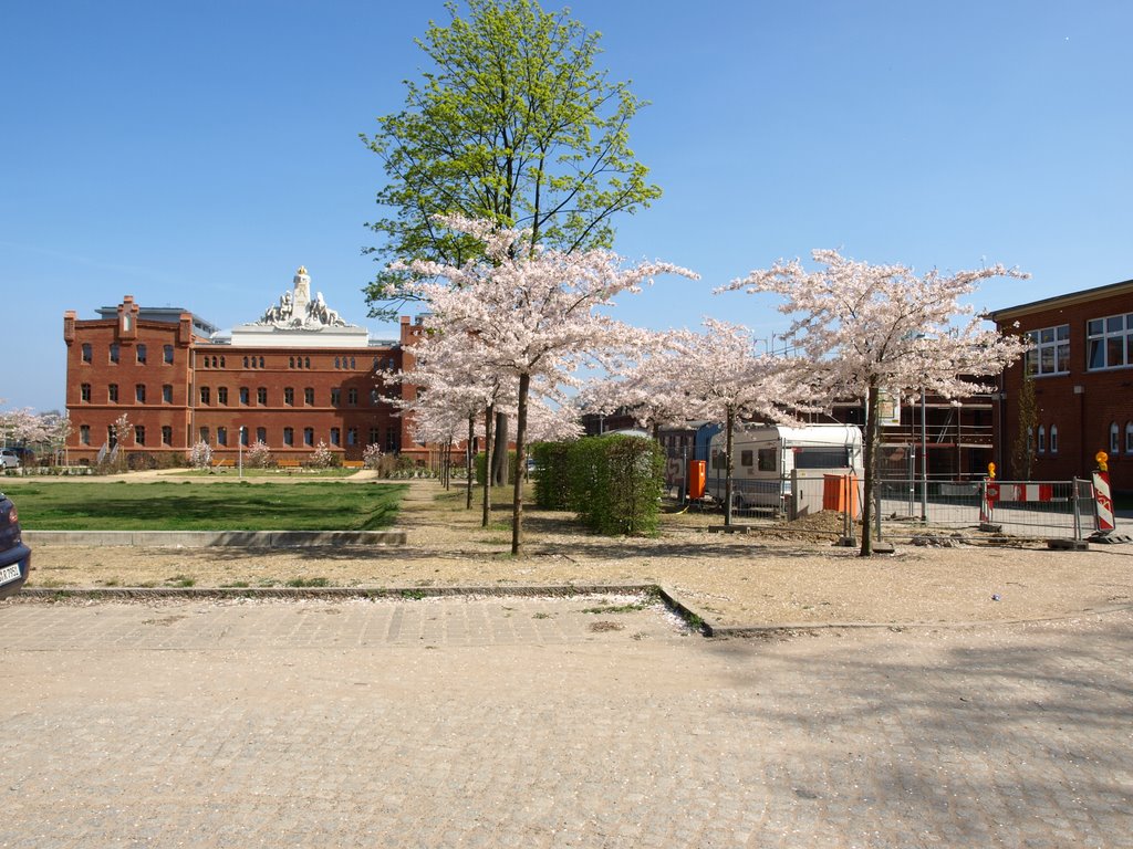 Potsdam Nedlitzerstr. im Frühling 2009 by Joerg Radziwill