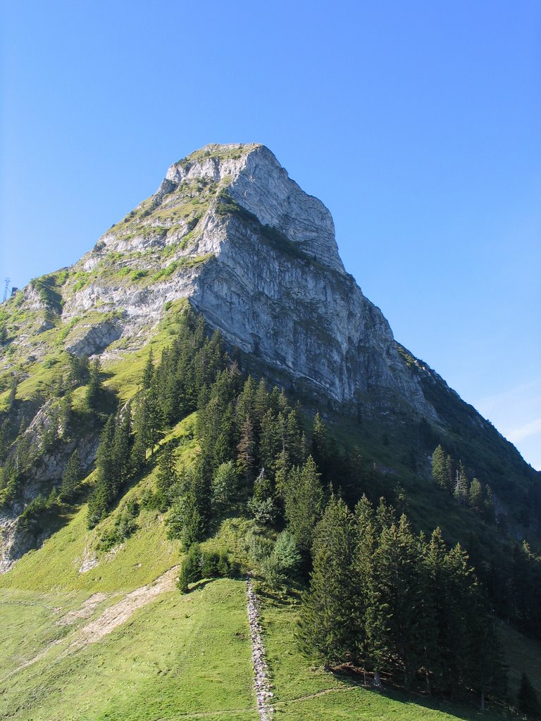 Via Ferrata Moléson - Le Moléson en bas (Plan-Francey) by Festler