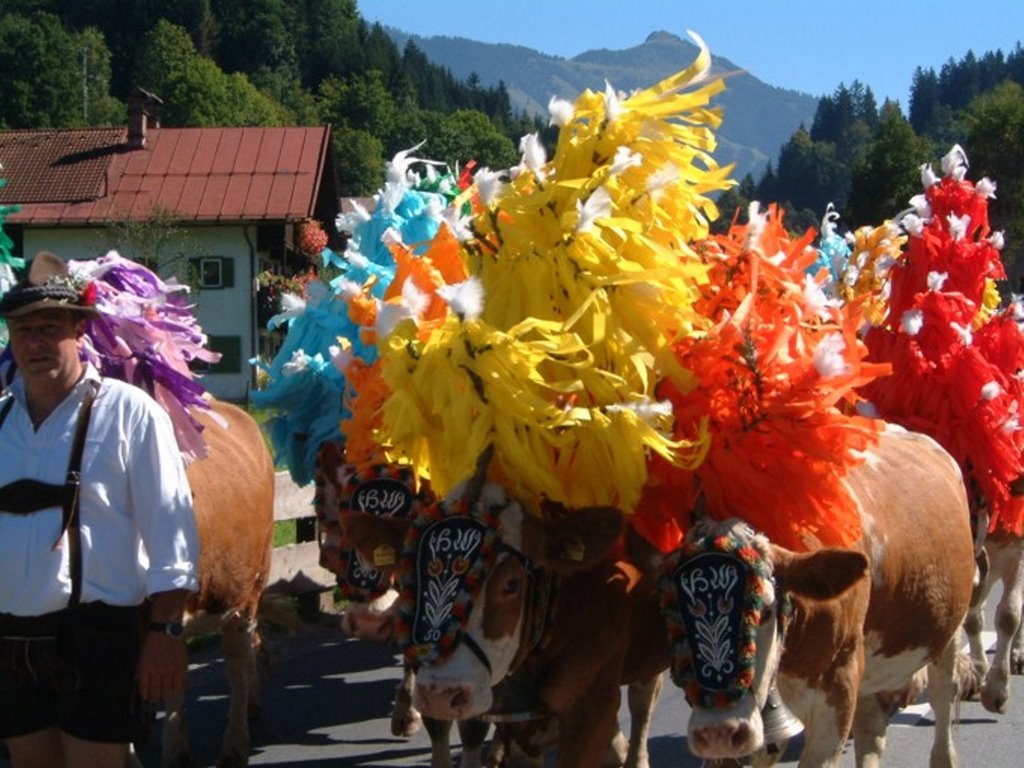 Gemeinde Hopfgarten in Defereggen, 9961, Austria by Pierre  DUCOS