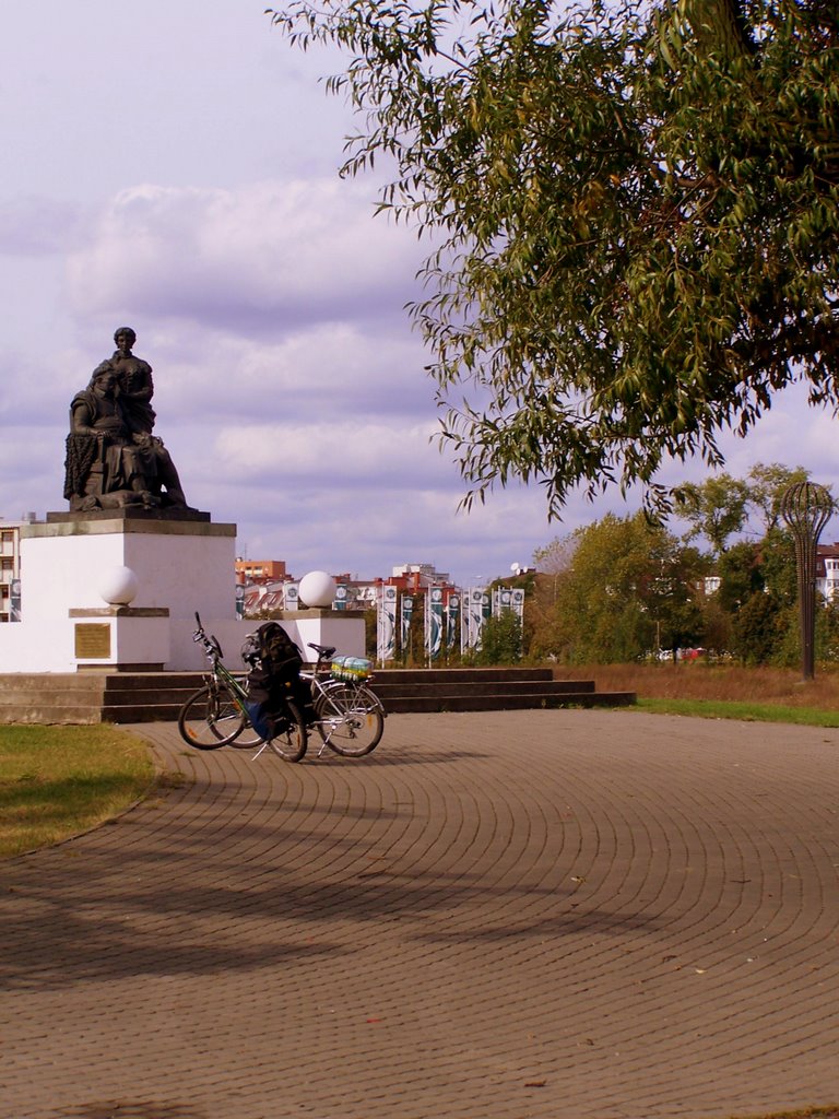 ...Rumaki czekają by Małgorzata SK