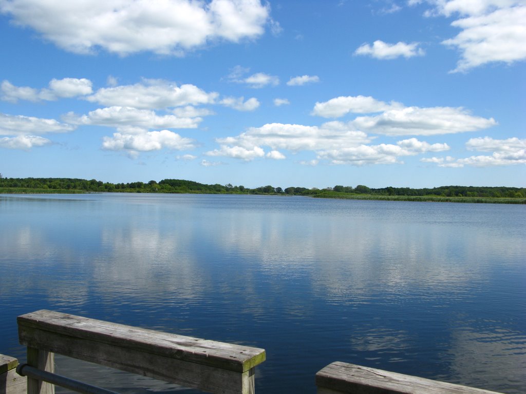 Bong Recreation Area Wolf Lake 2009 by brucev