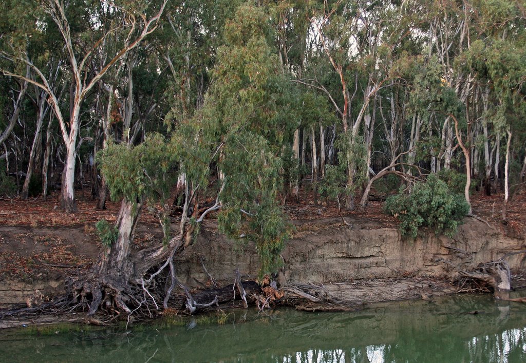 Murrumbidgee river - Hay by strasser©paul