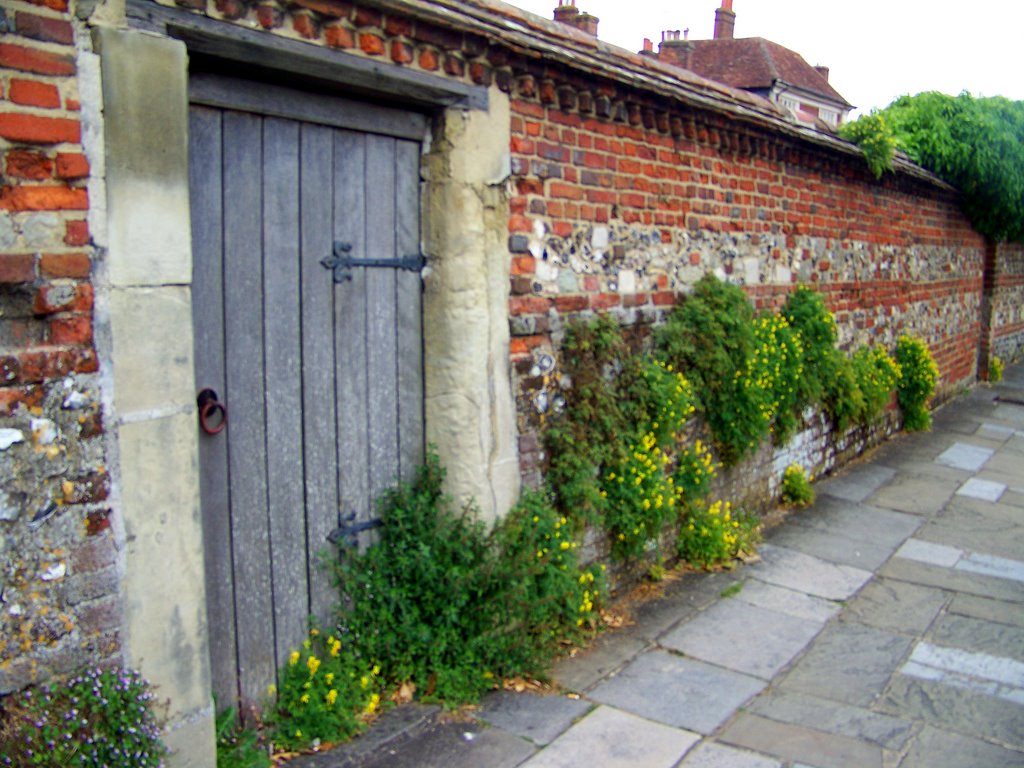 Wooden door and brick wall by MAL10587