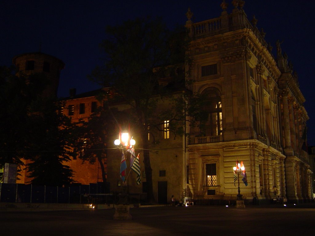 Palazzo Madama 3 by Mario Antonio Rossi