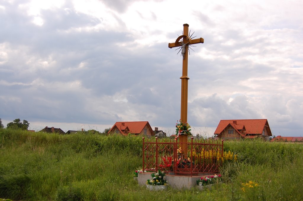 Krzyż przydrożny / Roadside cross by cvn i tapir