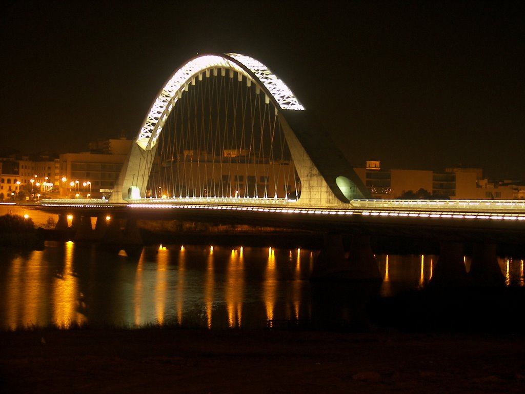 Puente Lusitania. Mérida. Salvador Calatrava by frgrana2