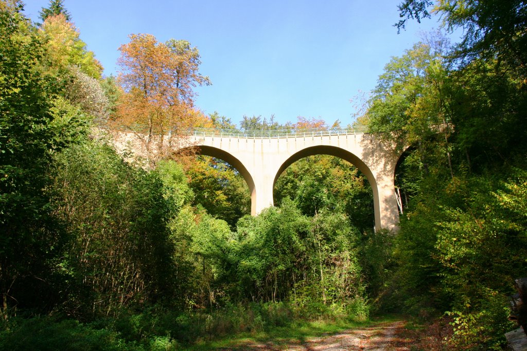 Härtsfeldbahn Viadukt in Unterkochen 03.10.2009 by Scott7777